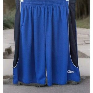 Reebok RBK Mesh Shorts, Men's Gym Short, Two Tone Active Training, 10" Inseam
